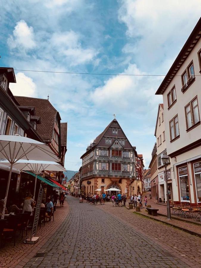 Ferienwohnung Am Brunnen Großheubach 외부 사진